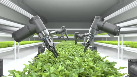 Smart robotic farmers concept, robot farmers, Agriculture technology Stock Footage 244970646