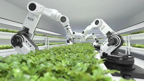 Smart robotic farmers concept, robot farmers, Agriculture technology Stock Footage 244970743
