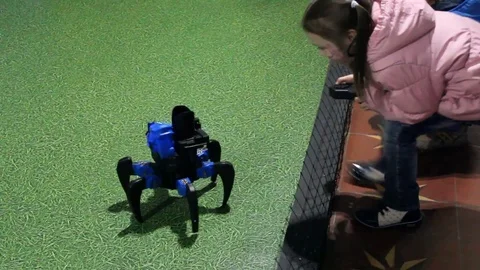 Smart Robots Show 库存影片 74208549