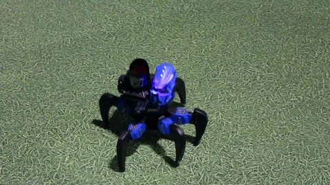 Smart Robots Show Stock-Footage 74209330