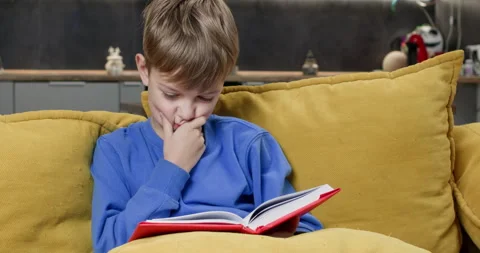 Smart schoolboy reads textbook touching face on yellow couch Stock Footage 323975451