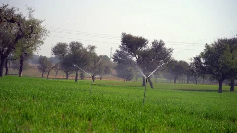 Smart sprinkler functioning in green agriculture fields Video stock 224110228