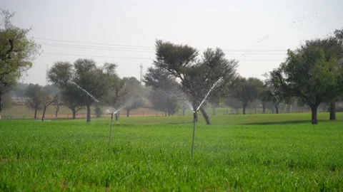 Smart sprinkler functioning in green agriculture fields Video stock 224110399