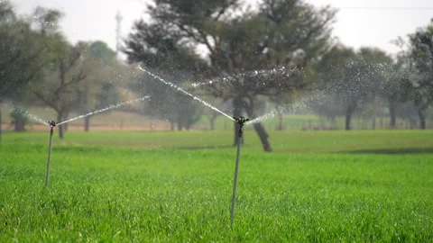 Smart sprinkler functioning in green agriculture fields Video stock 224110464