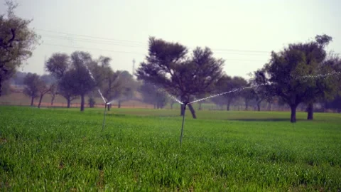 Smart sprinkler functioning in green agriculture fields Video stock 224111416