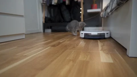 Smart technologies for cleaning pet friendly. Round white robot vacuum cleaner Stock Footage 149222442
