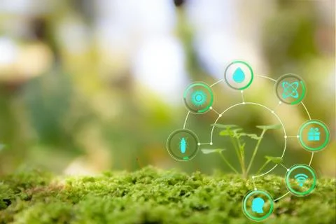 Smart technology with Internet of things futuristic agriculture concept. Anal Stock Photos