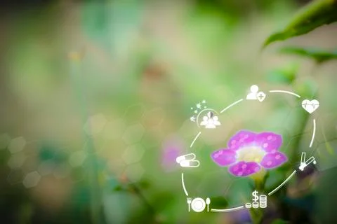 Smart technology with Internet of things futuristic medical concept. Icon med Stock Photos