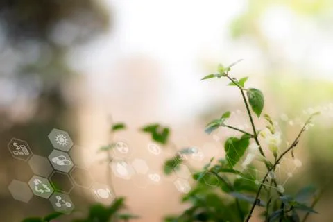 Smart technology with Internet of things futuristic agriculture concept. Anal Stock Photos