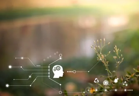 Smart technology with Internet of things futuristic agriculture concept. Anal Stock Photos