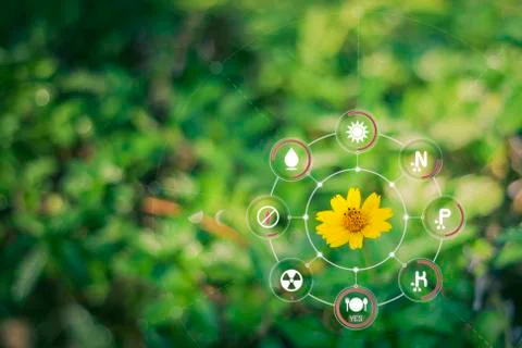 Smart technology with Internet of things (IoT) futuristic agriculture concept Stock Photos