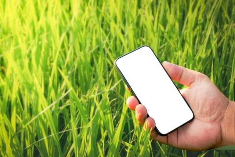 Smart technology with Internet of things (IoT) futuristic agriculture concept Stock Photos