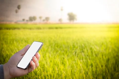 Smart technology with Internet of things (IoT) futuristic agriculture concept Stock Photos