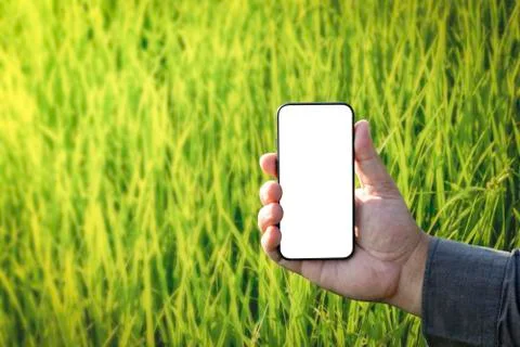 Smart technology with Internet of things (IoT) futuristic agriculture concept Stock Photos