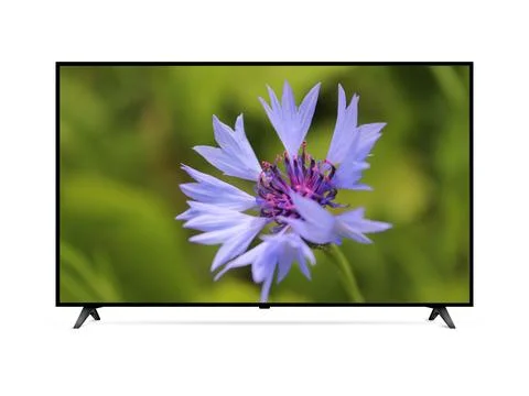 Smart tv with blue cornflower on screen Stock Photos