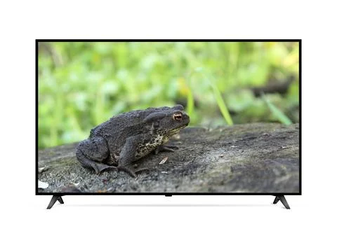 Smart tv with frog on screen Stock Photos
