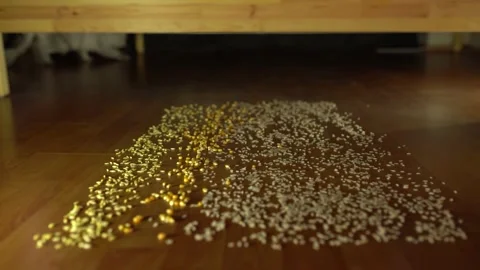 The smart vacuum cleaner cleans the dirt on the floor. Stock Footage 181062124