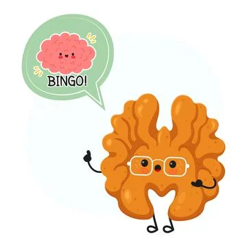 Smart walnut character thinking with brain concept Stock Illustration