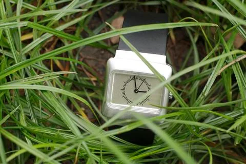 Smart watch in grass Stock Photos