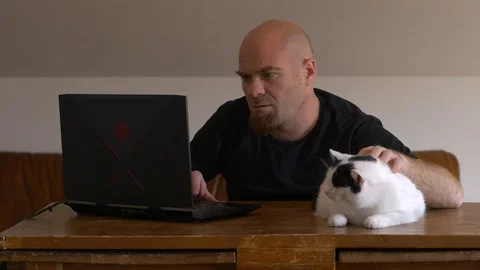 Smart working, coron virus - worried man at computer caressing his cat Stock Footage 128179617