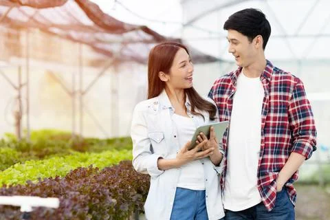 Smart young asian farmer  using tablet to check quality and quantity of organ Stock Photos