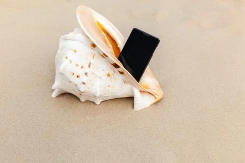 Smartphone and a sea shell Stock Photos