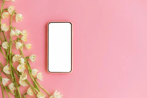 Smartphone with blank screen and spring flowers on pink paper flat lay. Spa.. Stock Photos