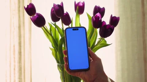 Smartphone with blue screen mockup against the background of a bouquet of Stock Footage 309519461