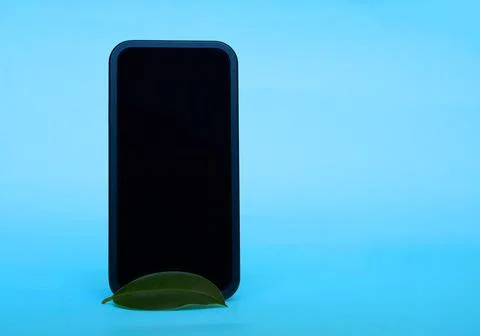 A smartphone with an empty black screen and a green ficus leaf Stock Photos