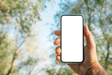 Smartphone with an empty white display held outdoors against blurred trees .. Stock Photos