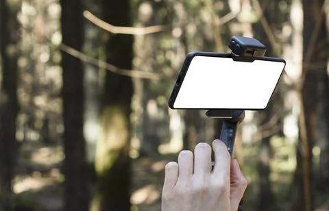 Smartphone on a gimbal in a forest. Handheld stabilizer for mobile video Stock Photos