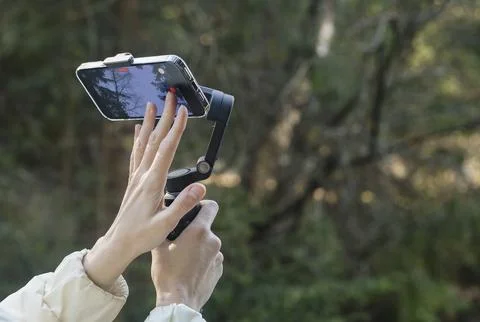 Smartphone on a gimbal in a forest. Hands adjust the mobile stabilizer for Stock Photos