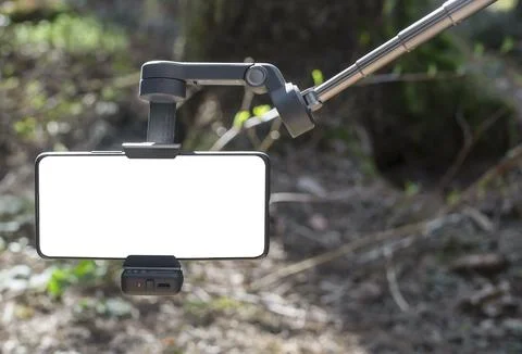 Smartphone on a gimbal stabilizer in a forest. Blank screen mobile filming ge Stock Photos