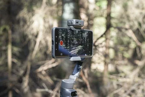 Smartphone on gimbal stabilizer in a forest. Mobile filming setup for vloggin Stock Photos