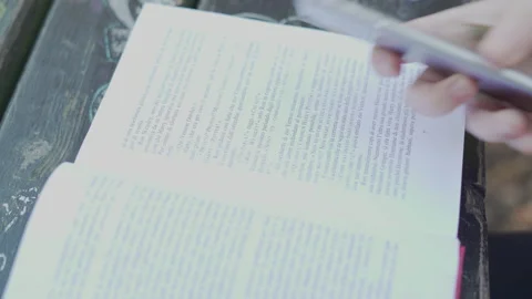 Smartphone with green screen at the park Video stock 142806997