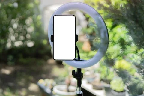 Smartphone with isolate screen on ring lamp over nature background. Stock Photos