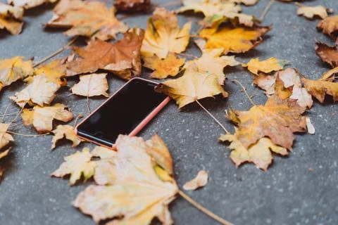 The smartphone lying on the ground in the fall Stock Photos