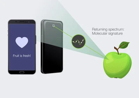 Smartphone molecular sensing scanner Stock Illustration