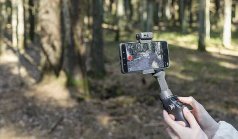 Smartphone mounted on a gimbal in a forest. Handheld stabilizer supports mobi Stock Photos