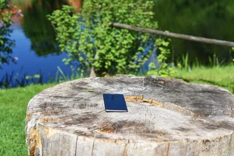 Smartphone on old stump. Stock Photos