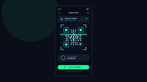 Smartphone QR code scanning and data verification animation Stock-Footage 347213129