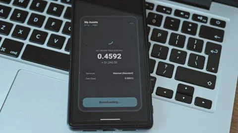 Smartphone screen showing successful blockchain money transfer Stock-Footage 337998737