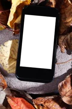 Smartphone Template Stock Photos