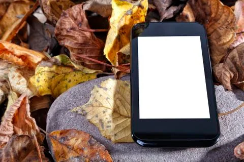 Smartphone Template Foto stock