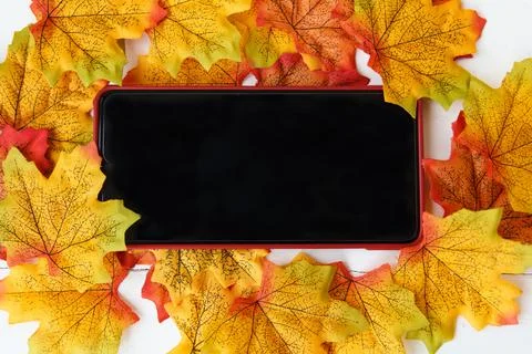 Smartphone for text on screen and maple leaf background. Foto stock