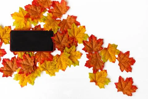 Smartphone for text on screen and maple leaf with white space background for  Stock Photos