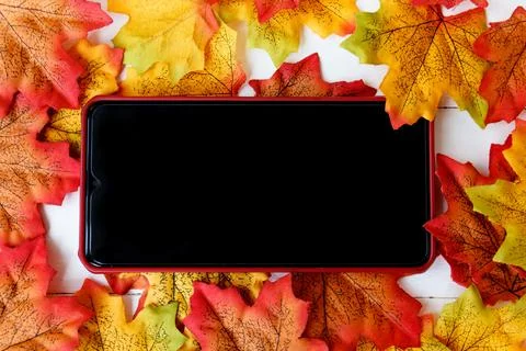 Smartphone for text on screen and maple leaf background. Stock Photos