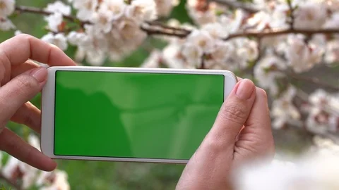 Smartphone with touchscreen isolated at blurry blooming of apricot trees Stock Footage 127431717