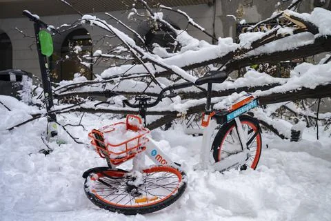 Smashed bike by fallen tree that collapsed under the weight of the snow Stock Photos