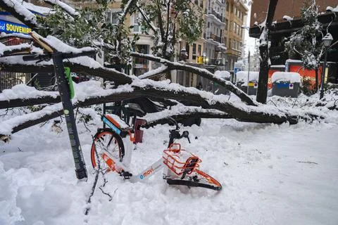 A smashed bike as a tree collapsed under the weight of the snow Stock Photos
